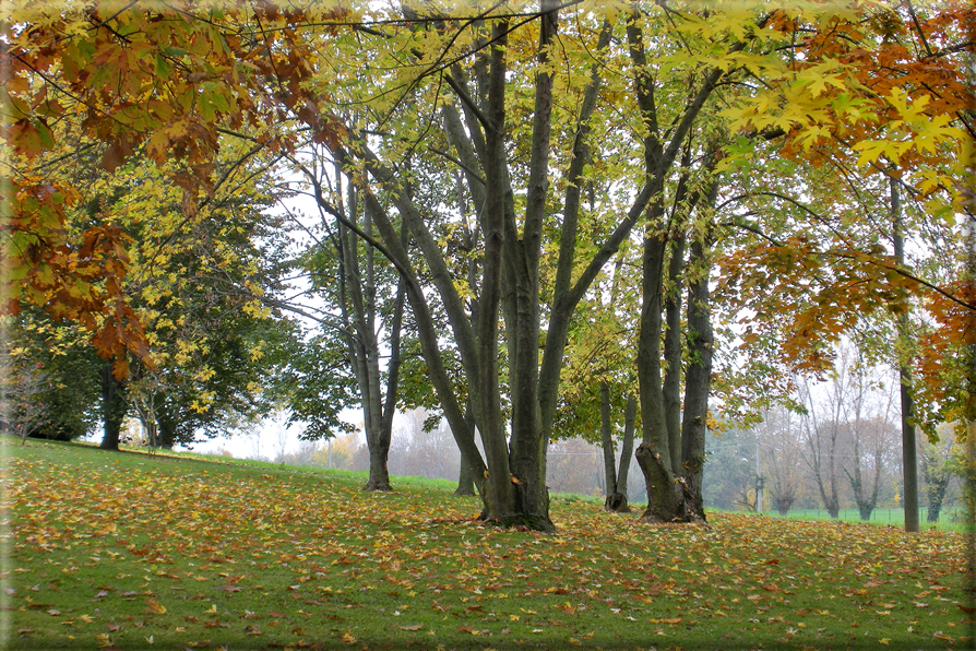 foto Paesaggi Autunnali